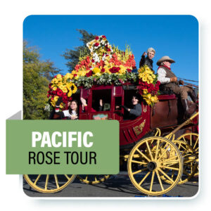 rose tours hours