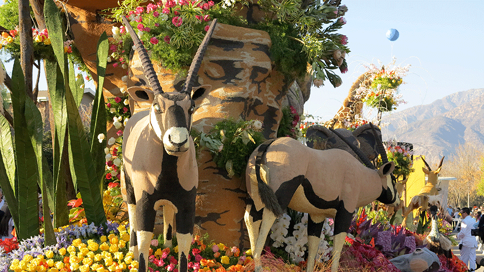 Africa-float – Al Brooks Rose Bowl Tours