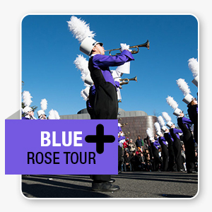 Blue Rose Plus Tour